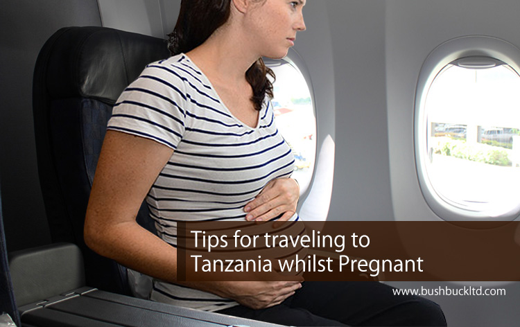 Pregnant lady traveling to Tanzania