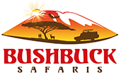 Bushbuck Safaris Logo