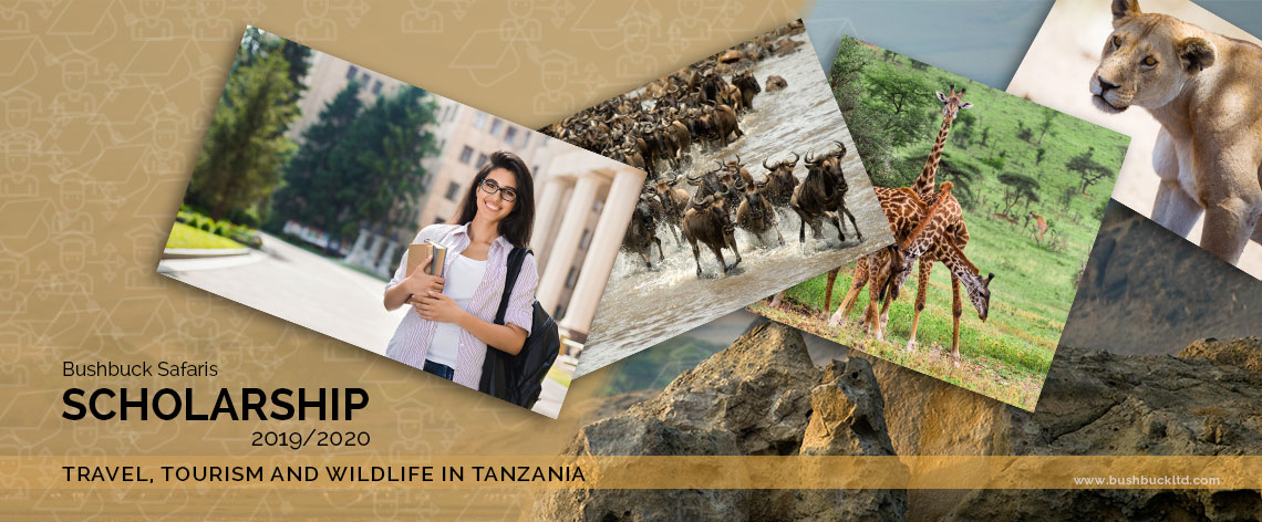 Bushbuck Safaris Scholarship 2019/2020 – Travel, Tourism and Wildlife in Tanzania