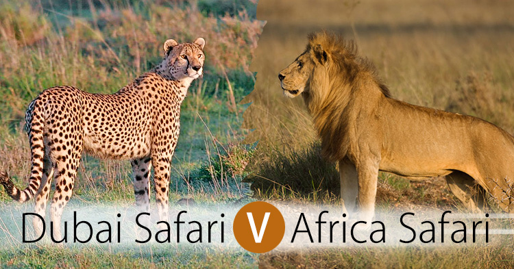 Can Dubai Safari be like a real African Safari?