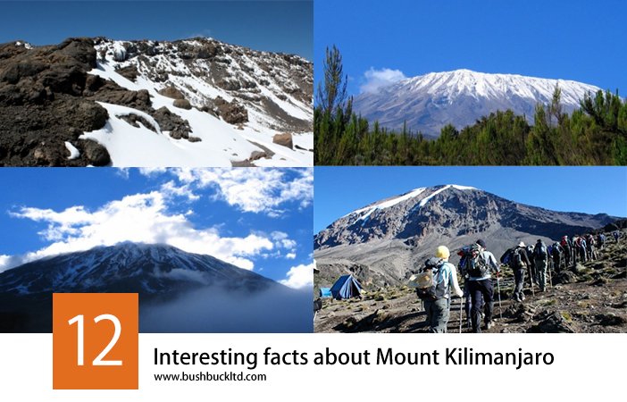 12 Interesting facts about Mount Kilimanjaro