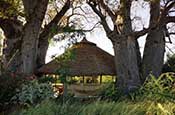 Ol Mesera Tented Camp