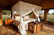 Plahala luxury camp