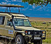 Bushbuck Safari Drivers