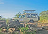 Bushbuck Safari Vehicle