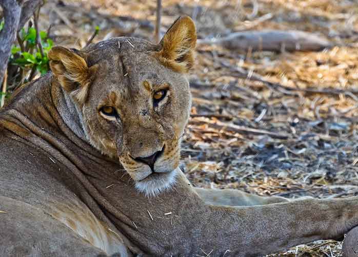 Rift Valley Excursion for schools and colleges
