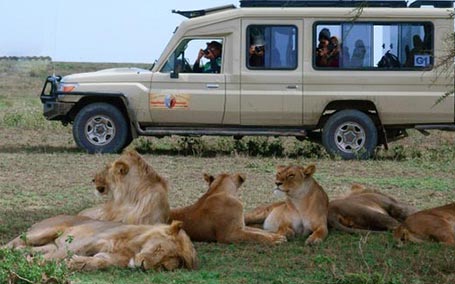 Tanzania Daily Departures
