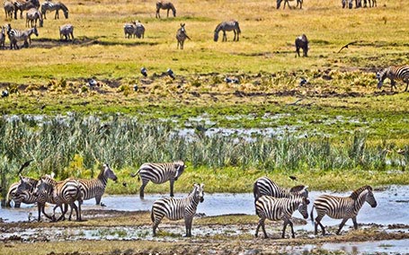 Rift Valley Safari