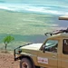 Adventurous Peace Safari